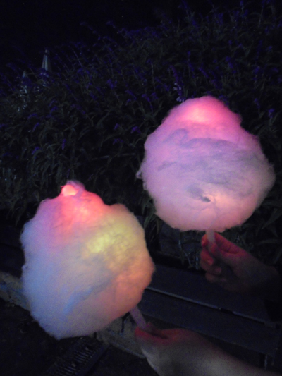 光るわたあめをFlash cotton candyがあしかがフラワーパークで販売
